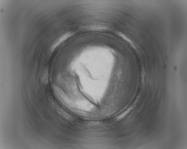 X0000080721306200701051024