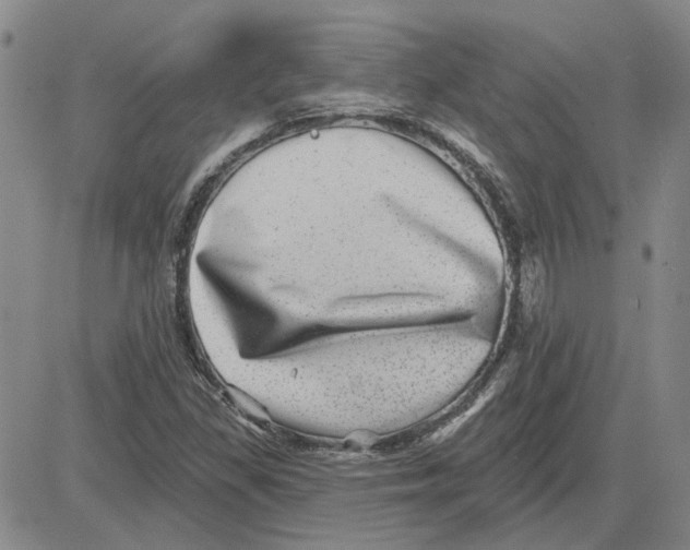 X0000080721309200701051024