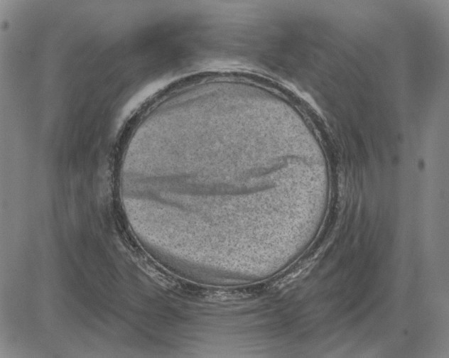 X0000080721311200701051024