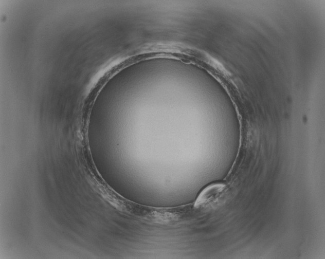 X0000080721312200701051024