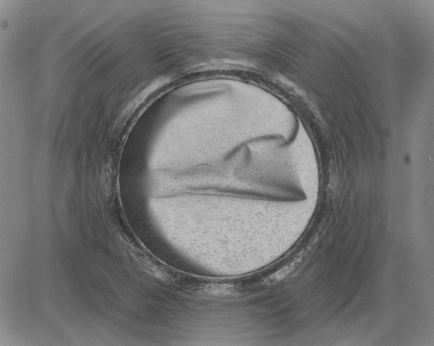 X0000080721313200701051024