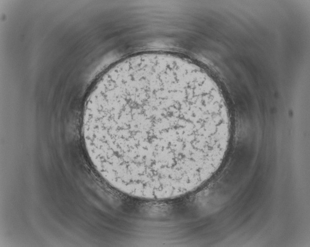 X0000080721314200701051024