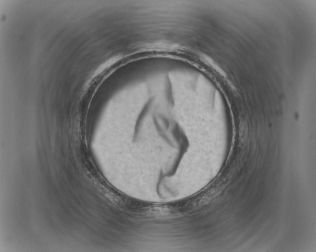 X0000080721315200701051024