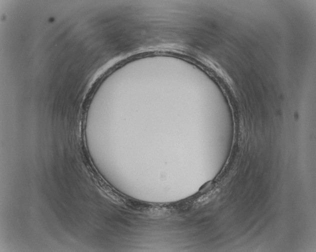 X0000080721316200701051024