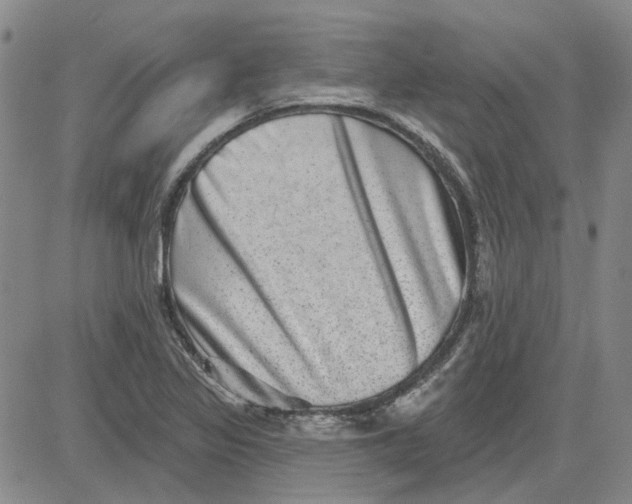 X0000080721317200701051024