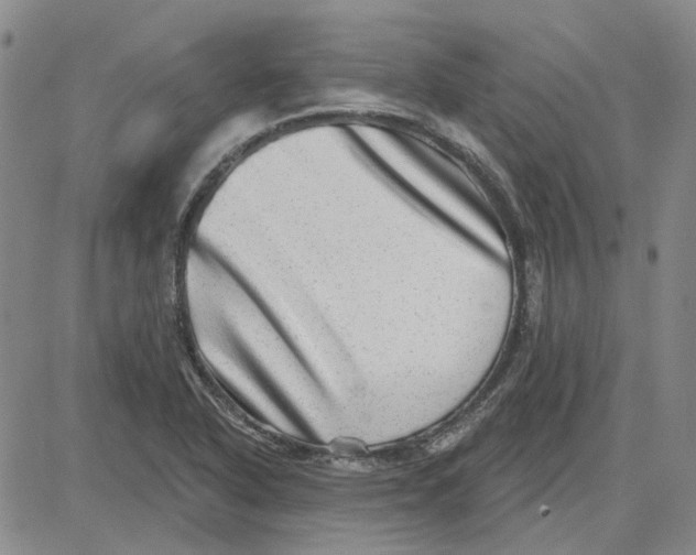 X0000080721318200701051024