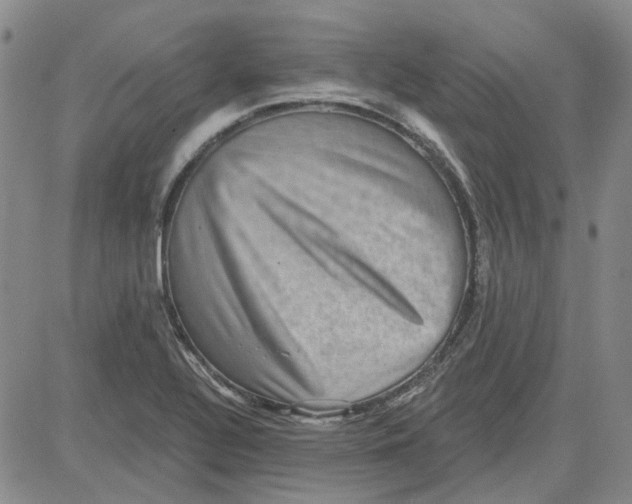 X0000080721320200701051024