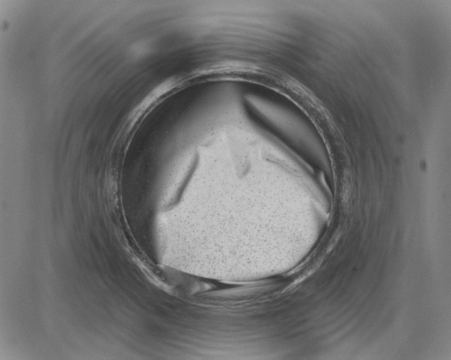 X0000080721321200701051024