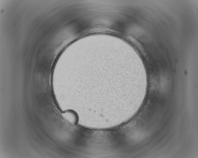 X0000080721322200701051024