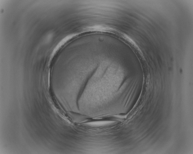 X0000080721323200701051024