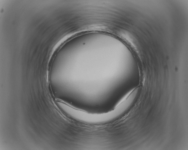 X0000080721324200701051024