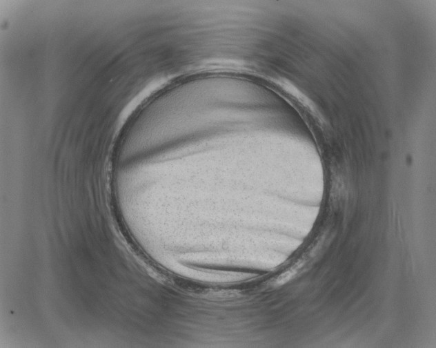 X0000080721325200701051024