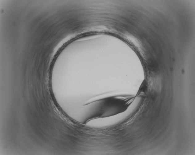 X0000080721326200701051024