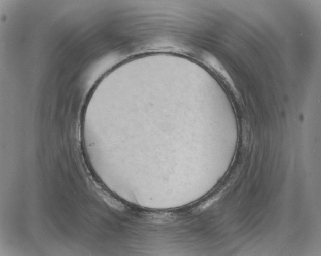 X0000080721328200701051024