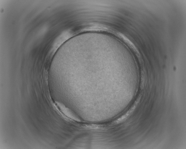 X0000080721329200701051024