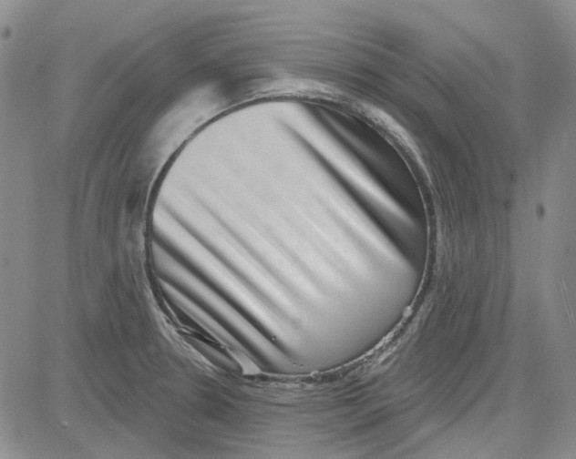 X0000080721330200701051024