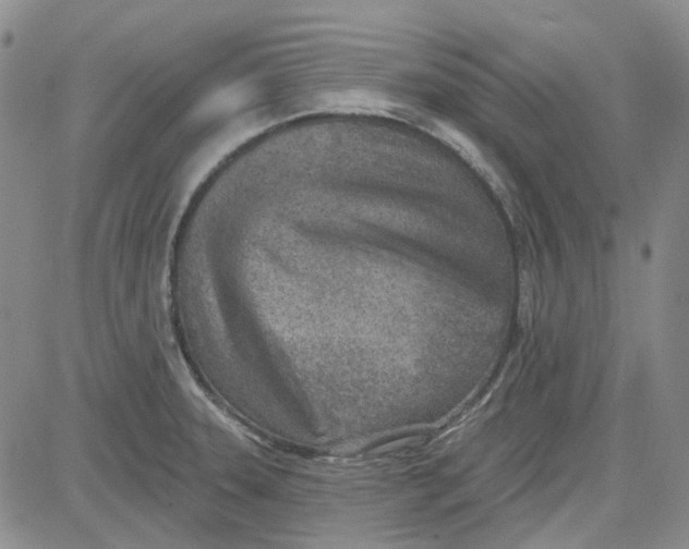 X0000080721331200701051024