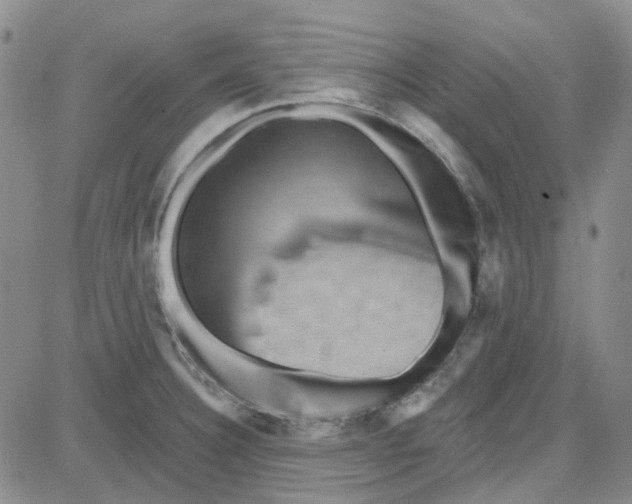 X0000080721332200701051024