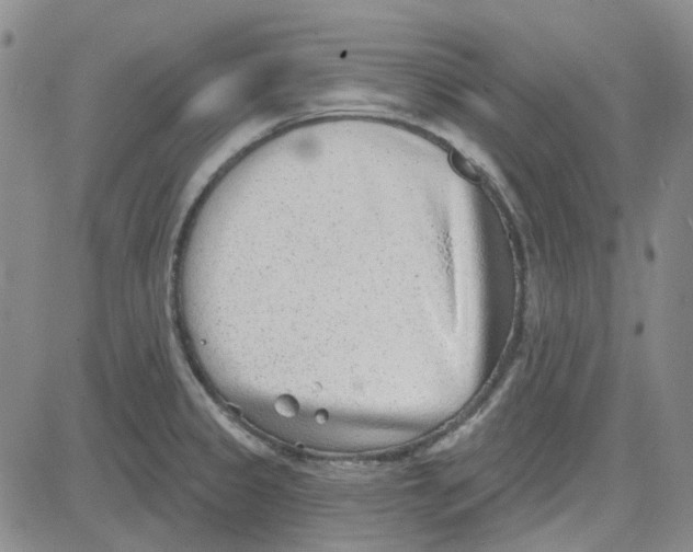 X0000080721333200701051025