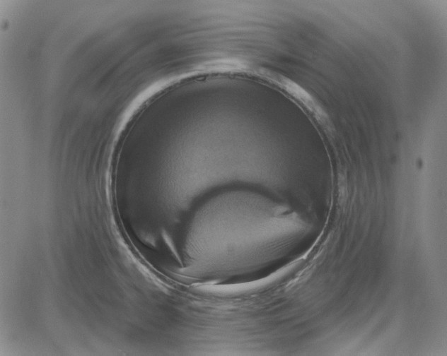 X0000080721334200701051025