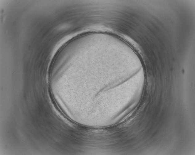 X0000080721335200701051025