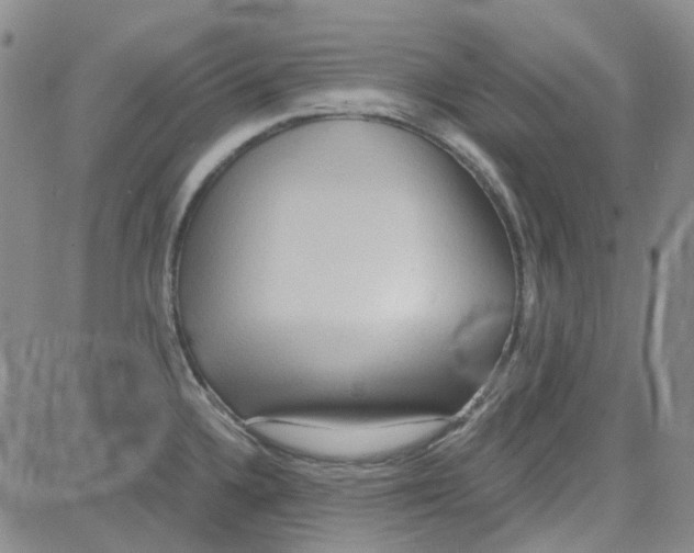 X0000080721336200701051025