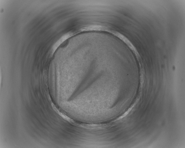 X0000080721337200701051025