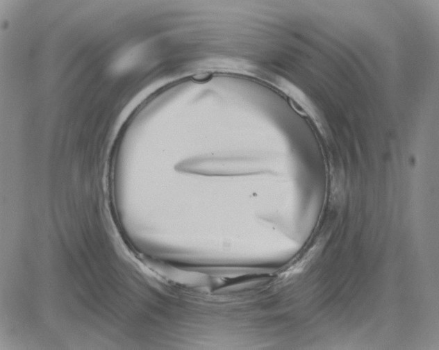 X0000080721339200701051025