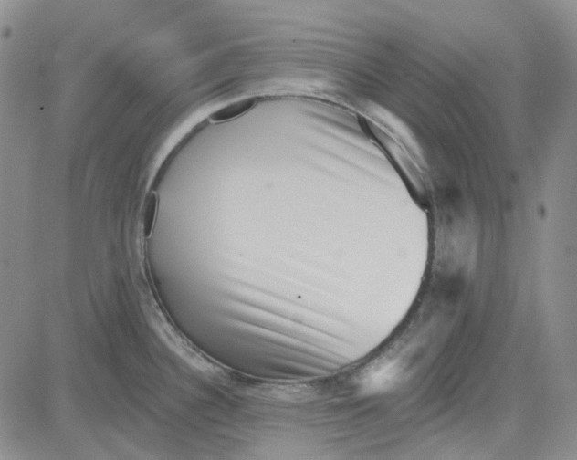 X0000080721340200701051025