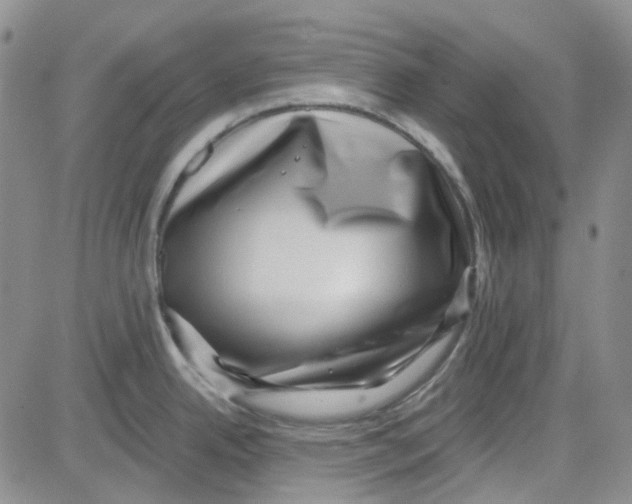 X0000080721342200701051025