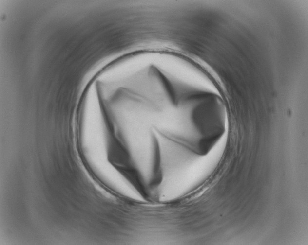 X0000080721343200701051025