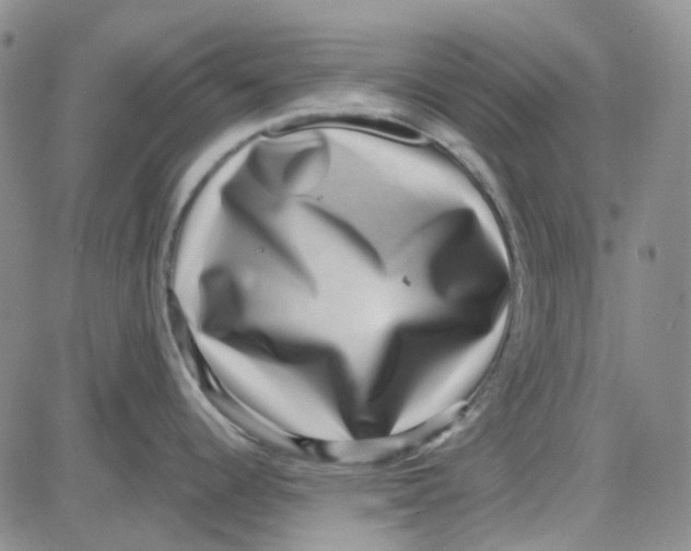 X0000080721344200701051025