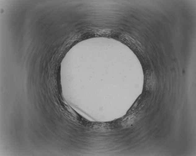 X0000080721345200701051024