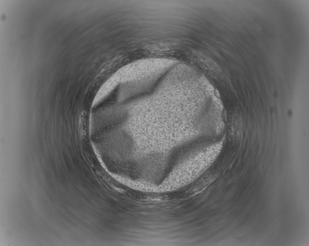 X0000080721346200701051024