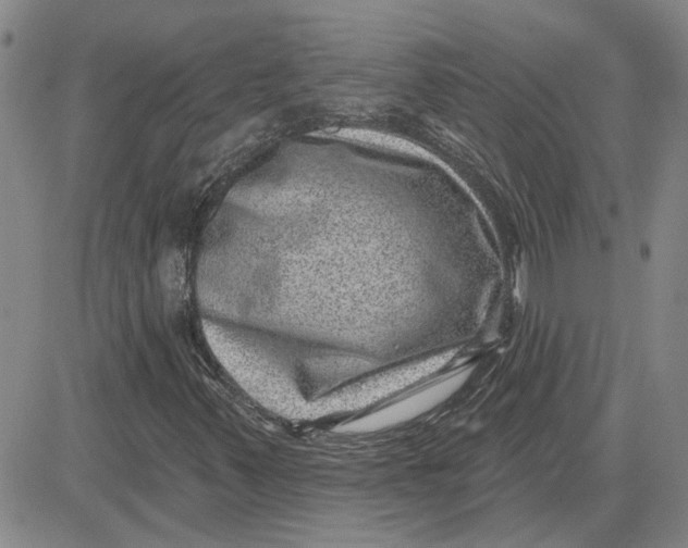 X0000080721347200701051024