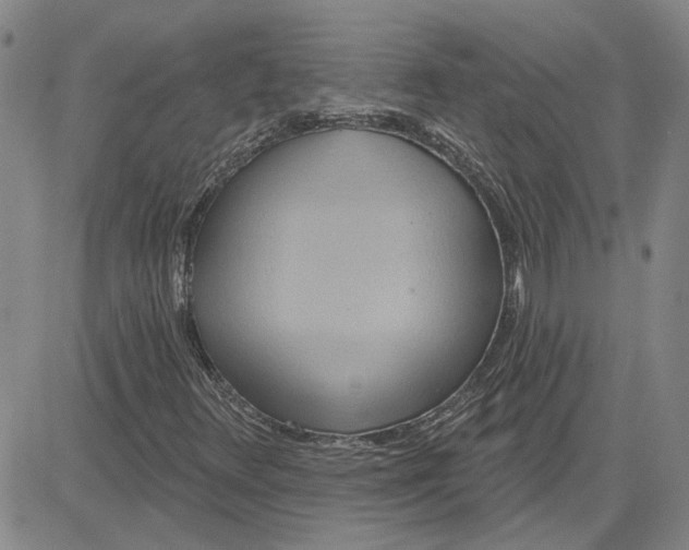 X0000080721348200701051024