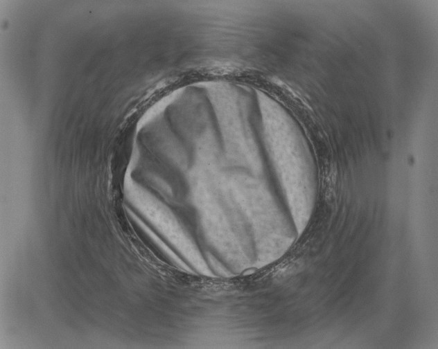 X0000080721349200701051024