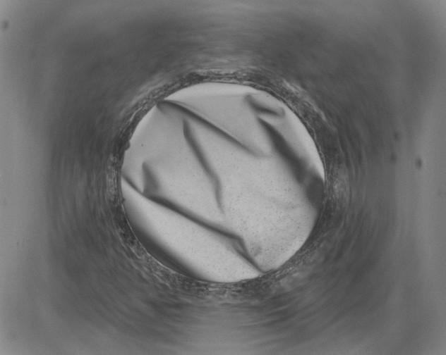 X0000080721350200701051024