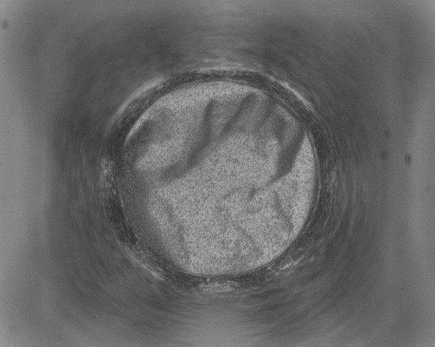 X0000080721351200701051024