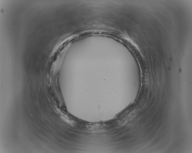 X0000080721352200701051024