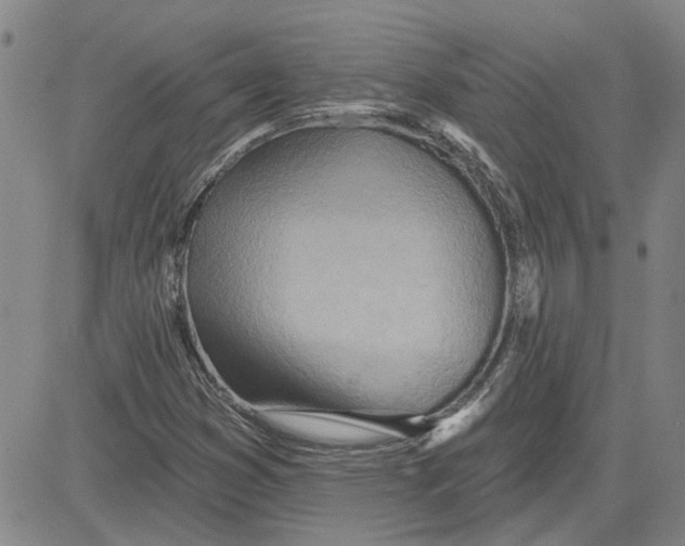 X0000080721353200701051024