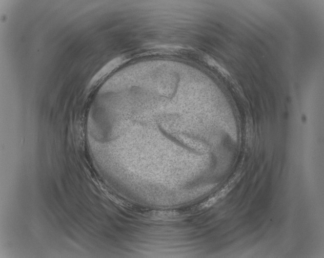 X0000080721354200701051024