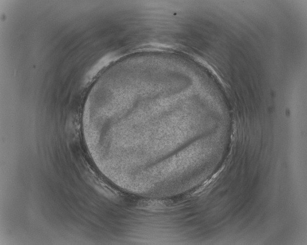 X0000080721355200701051024