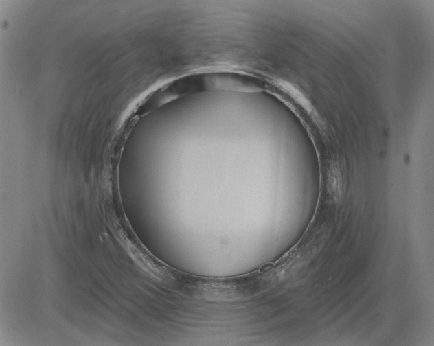 X0000080721356200701051024