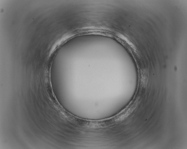 X0000080721357200701051024