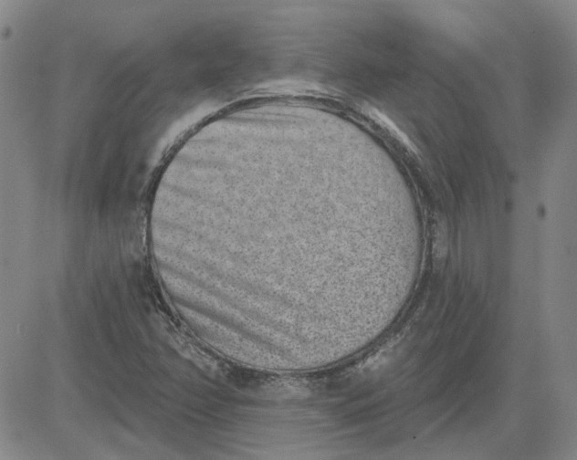 X0000080721358200701051024