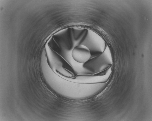 X0000080721361200701051024