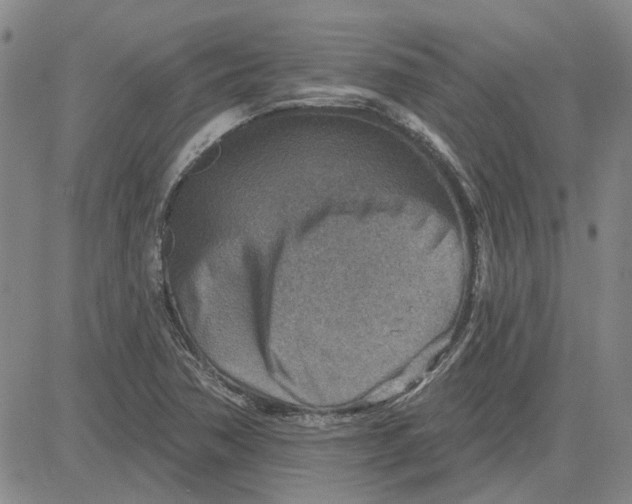 X0000080721362200701051024