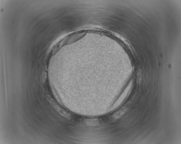 X0000080721363200701051024