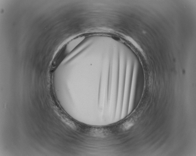 X0000080721364200701051024